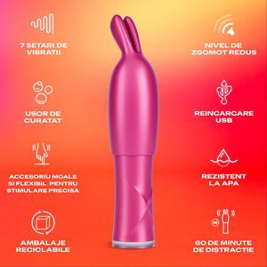 5_Key_product_features_VibeTease_RO.jpg